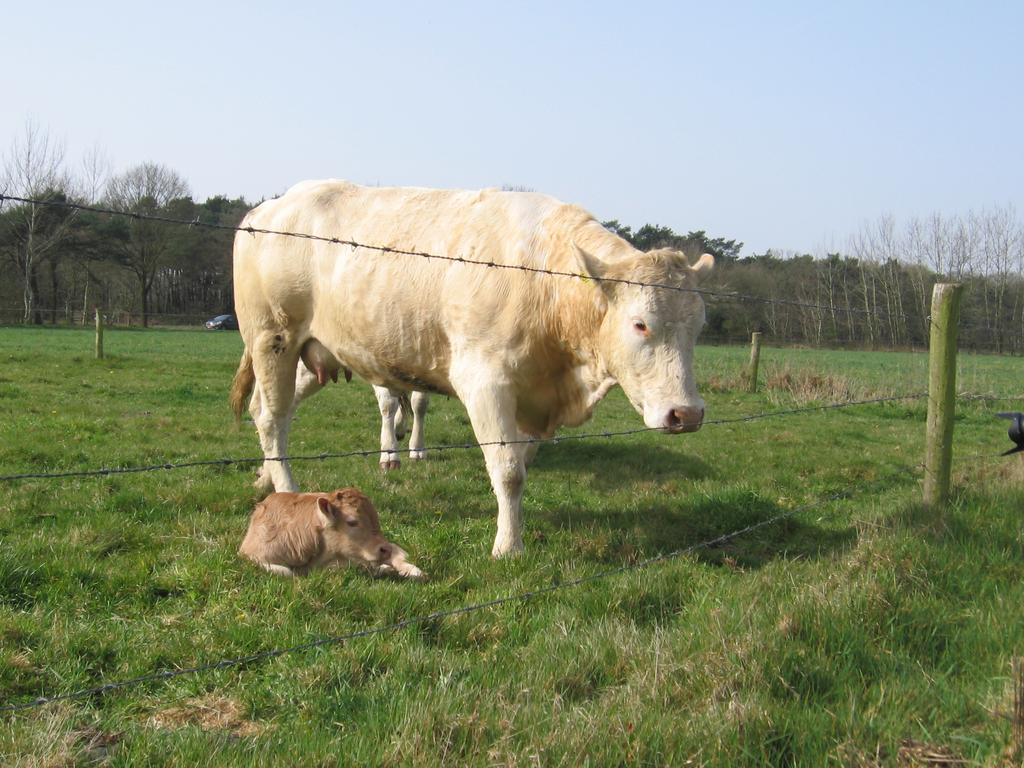De Zandkant Biezenmortel Buitenkant foto
